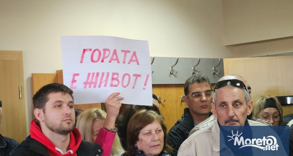 Близо 240 декара държавна гора в община Аврен предстои да