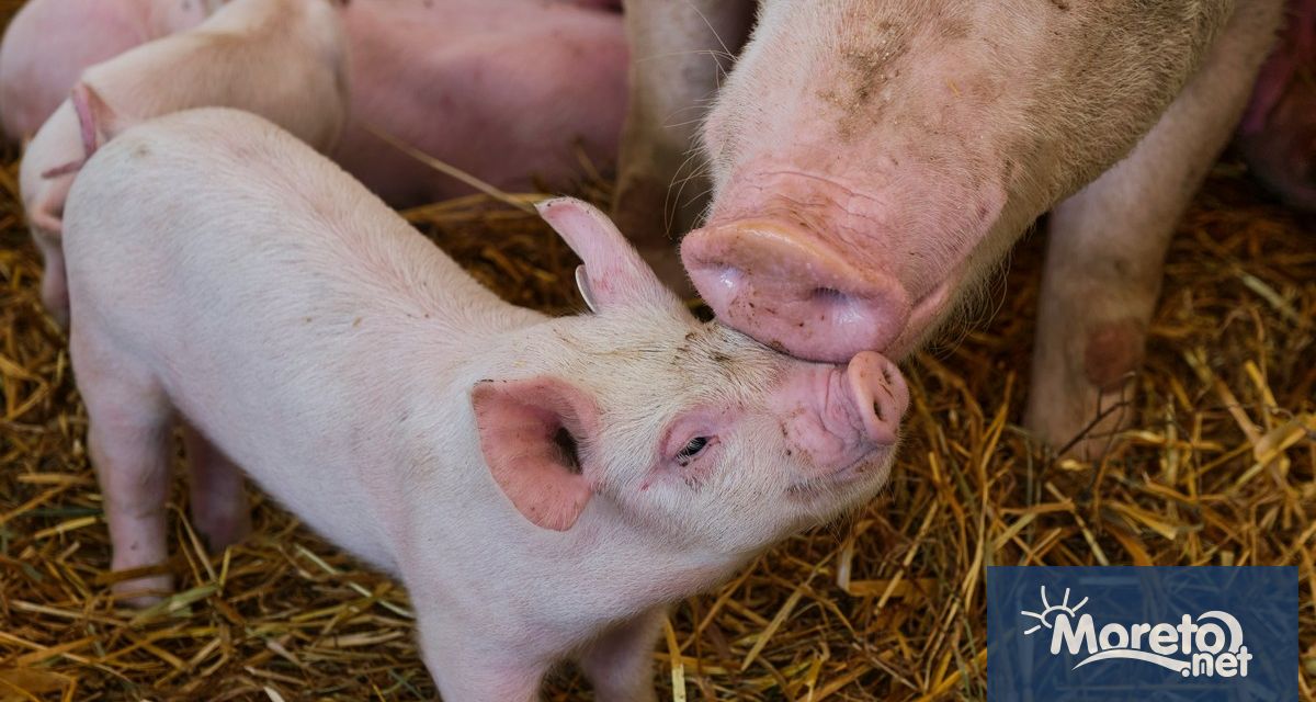 27 годишен мъж от бургаския квартал Меден рудник е задържан за