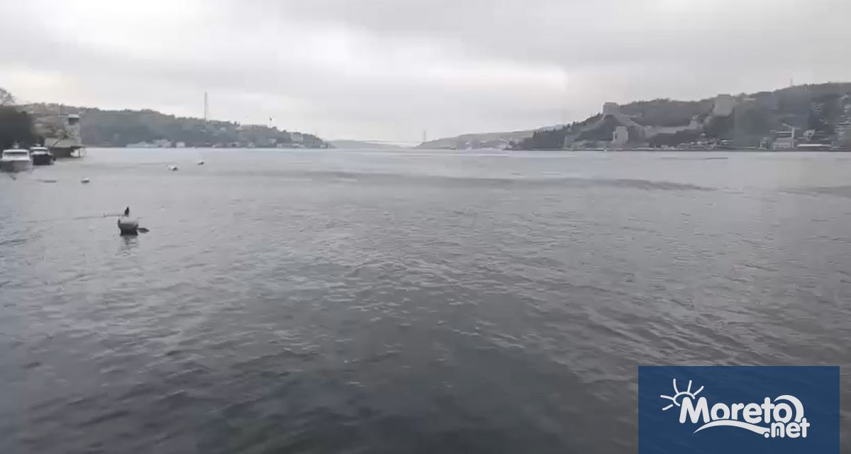 Земетресението с магнитуд 6 2 което разтърси Мраморно море предизвика паника