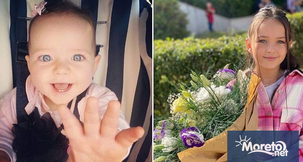 В Окръжния съд в Плевен днес продължава делото за тежката