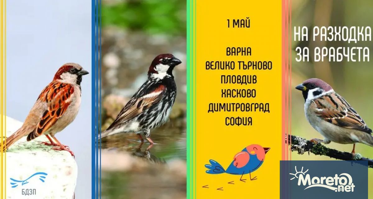 Българското дружество за защита на птиците БДЗП организира специална разходка