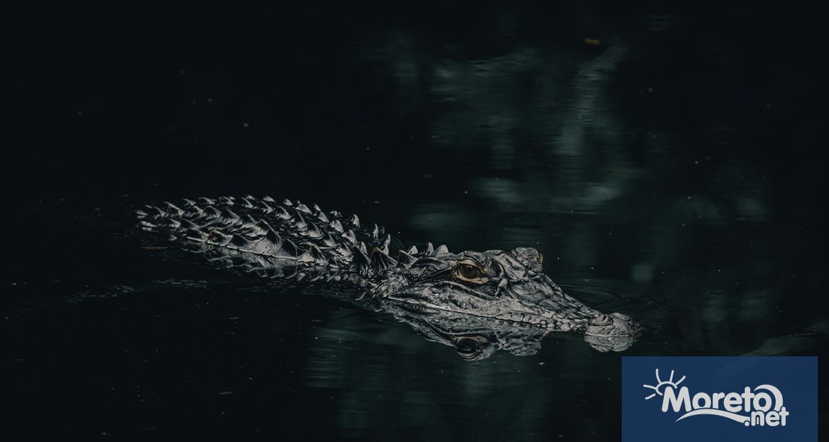 Петима души бяха спасени след като прекараha 36 часа върху