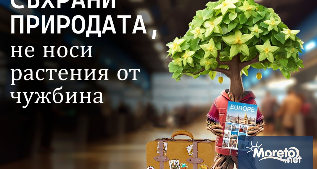 България официално се присъедини към европейската информационна кампания PlantHealth4Life насочена