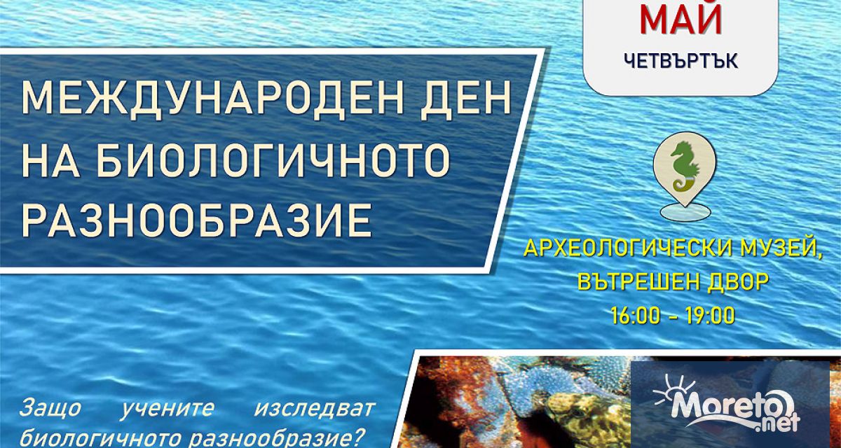 Институтът по океанология към Българска академия на науките ИО БАН кани