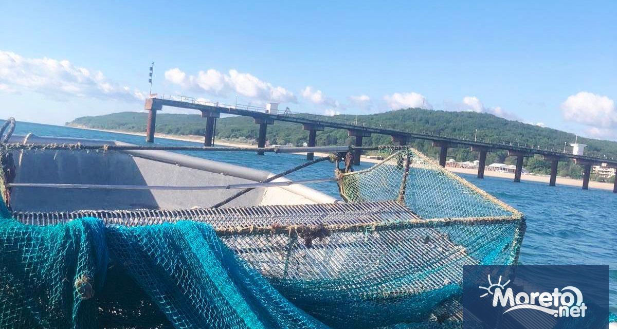 Инспектори от Изпълнителната агенция по рибарство и аквакултури ИАРА –