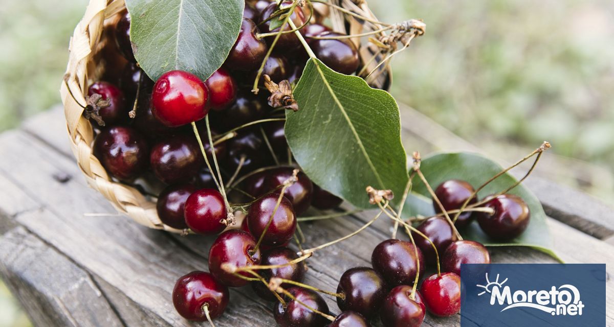 Дъждът който и в Кюстендилско не спира второ денонощие ще