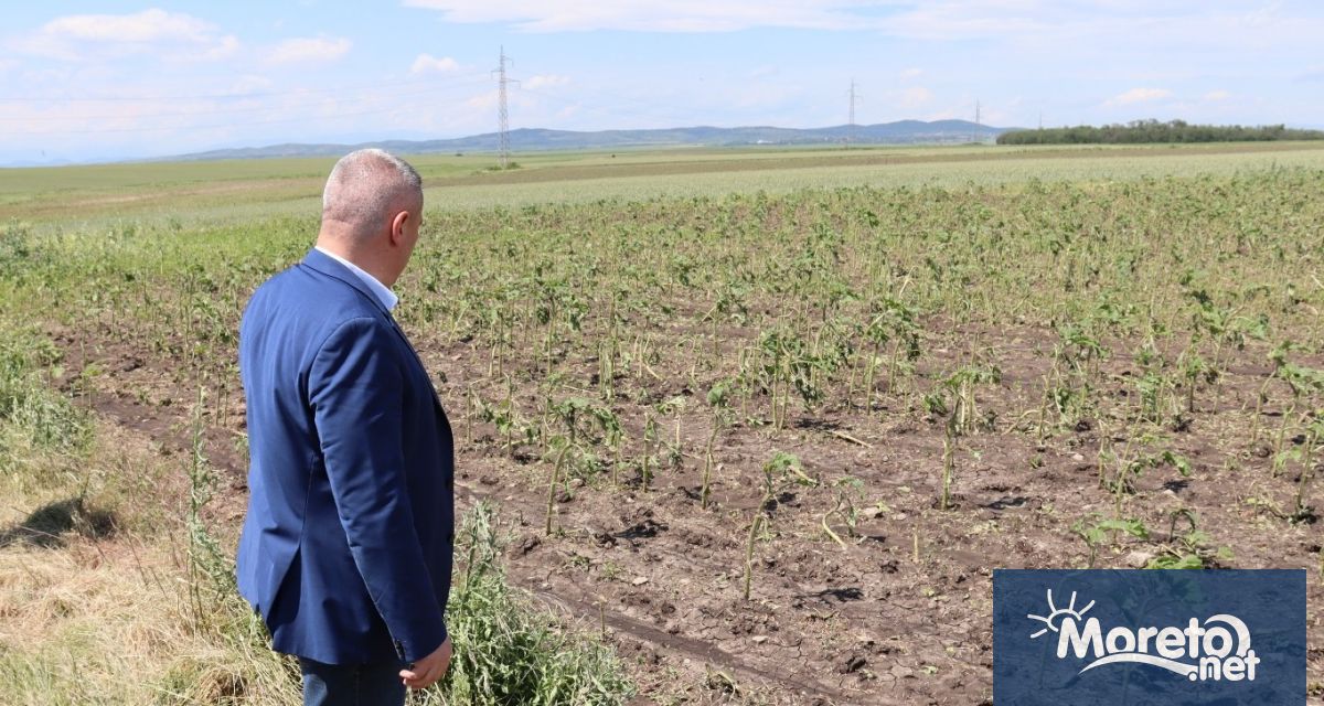 Осигурени са средства за компенсиране на щетите от градушки а