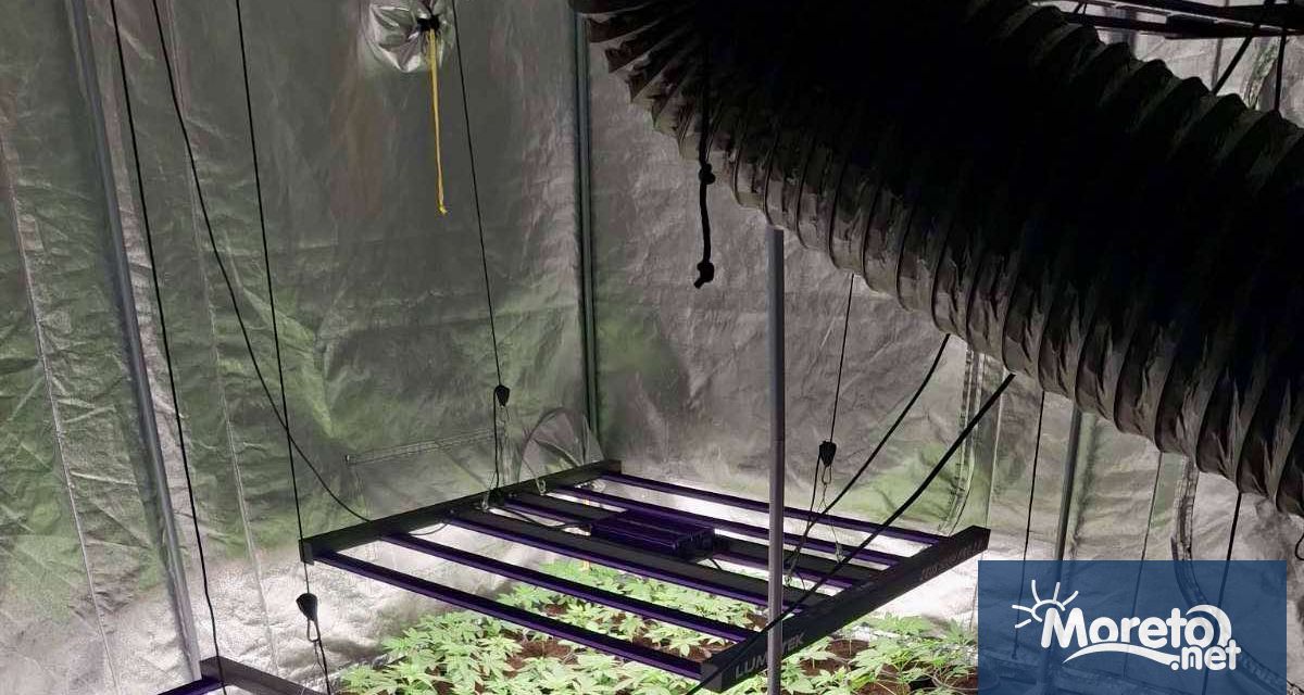 Четирима души бяха обвинени за участие в организирана група занимавала