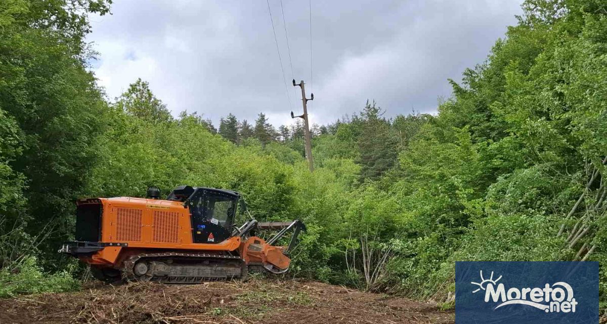 ЕРП Север предприема мащабна превантивна кампания за предотвратяване на аварии