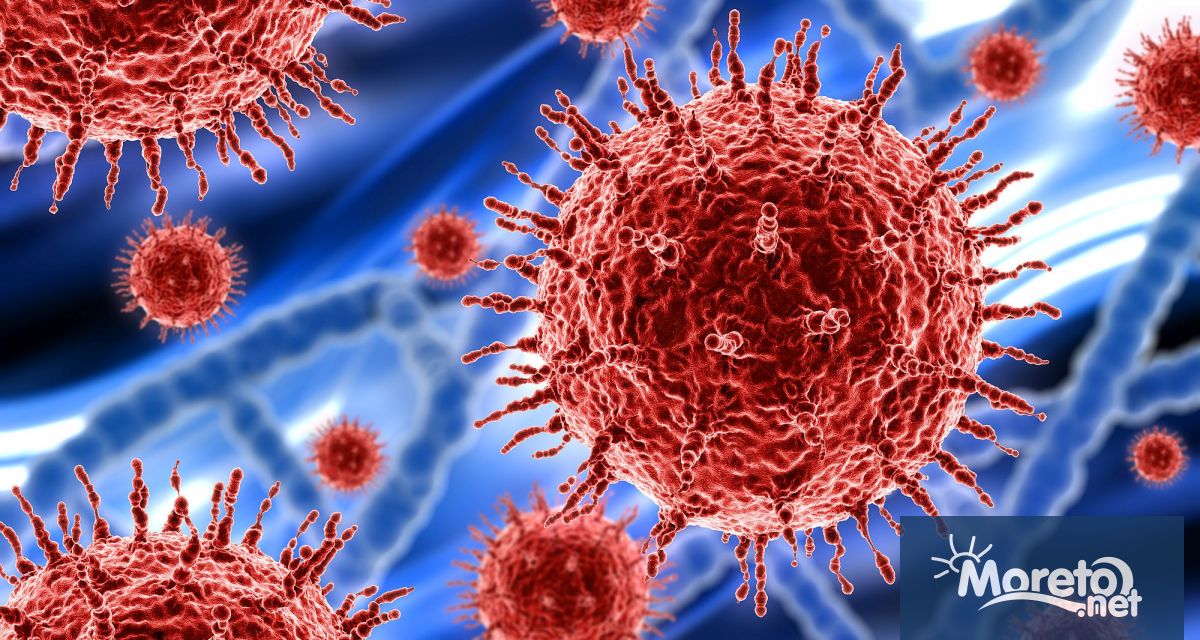 Учени от Института Питър Дохърти в Мелбърн обявиха че са