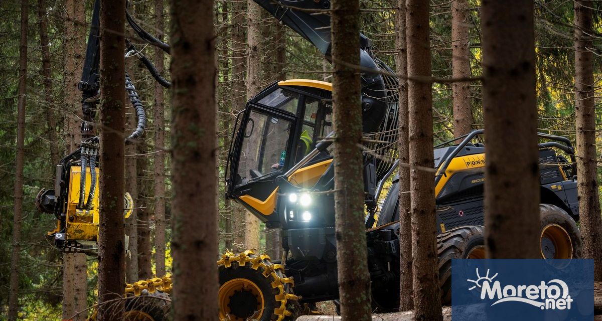 България е сред най гористите държави в Европа – почти 39