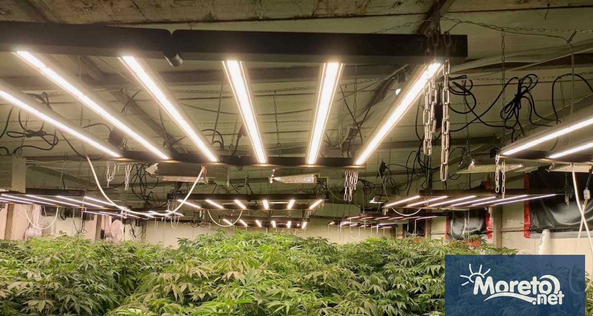 Бургаската полиция разкри високотехнологична наркооранжерия в село Суходол оборудвана с