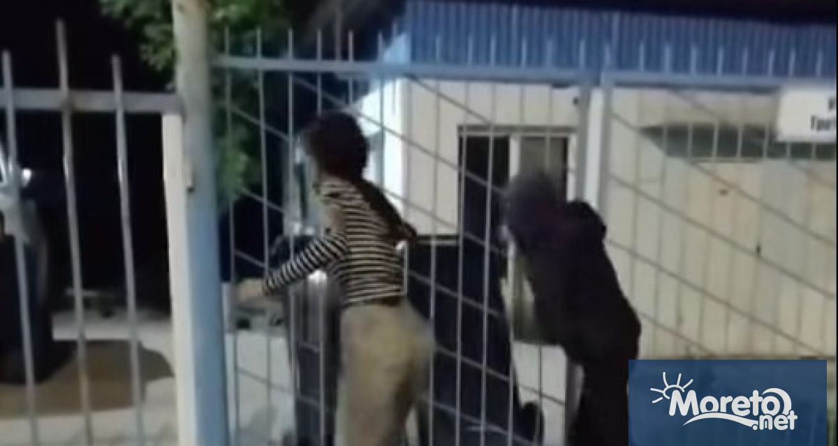 Община Белослав е предприела действия по установяване на група младежи