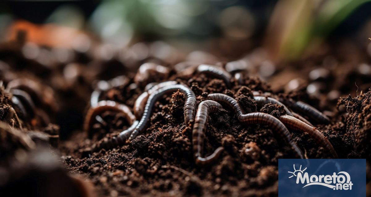 Ново изследване от Испания разклаща основите на класическата еволюционна теория