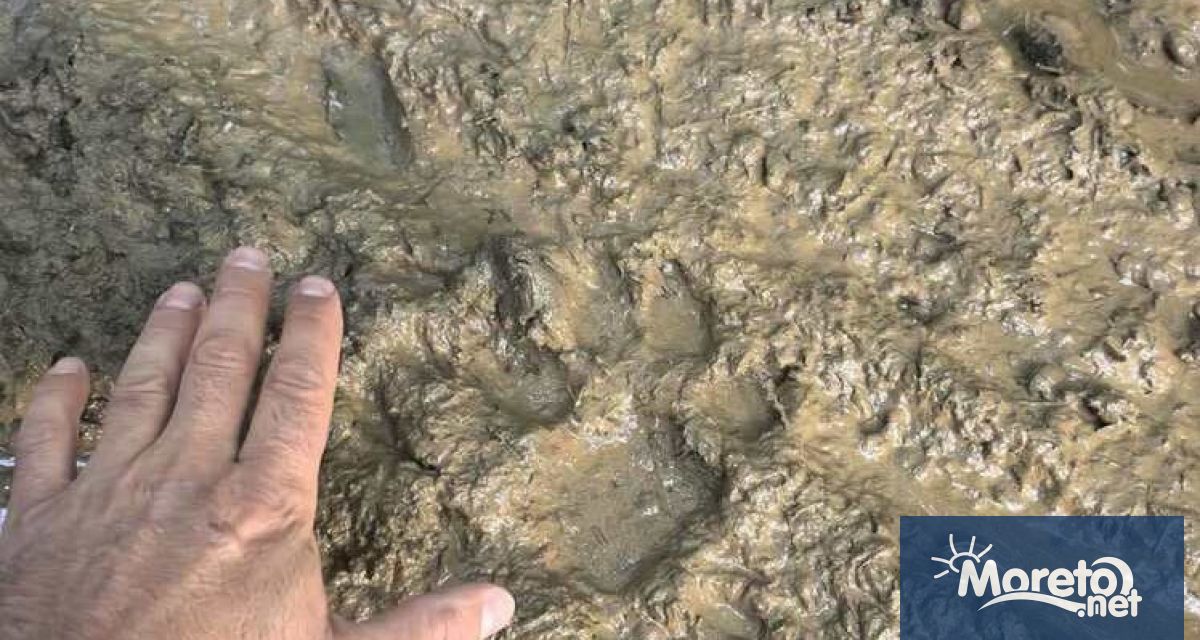 След близо две седмици повишена готовност и пълна блокада на