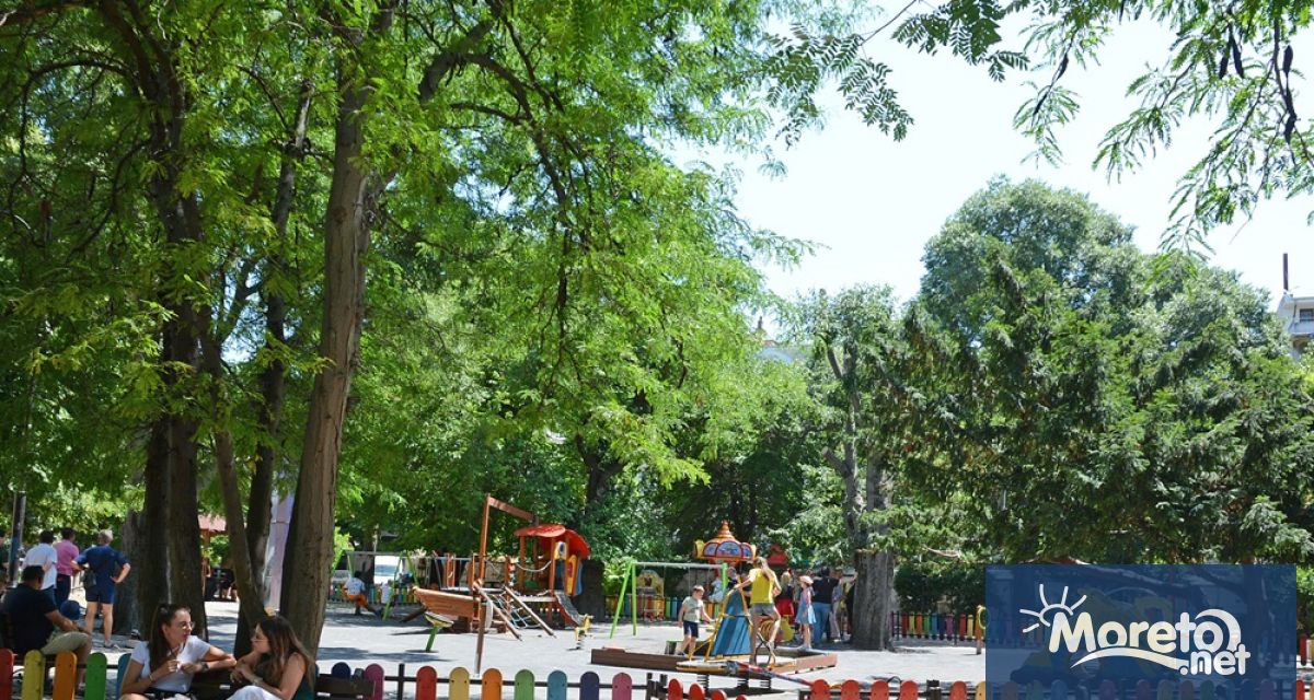 Община Варна започва изпълнението на дейности по санитарно прочистване и