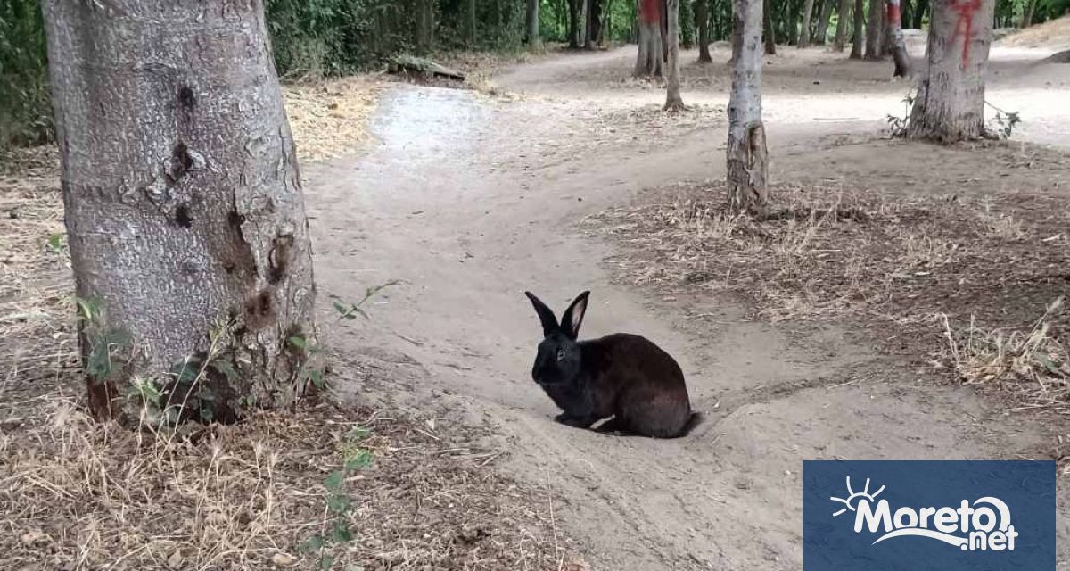 Морската градина си има нов обитател Из парка необезпокоявано се