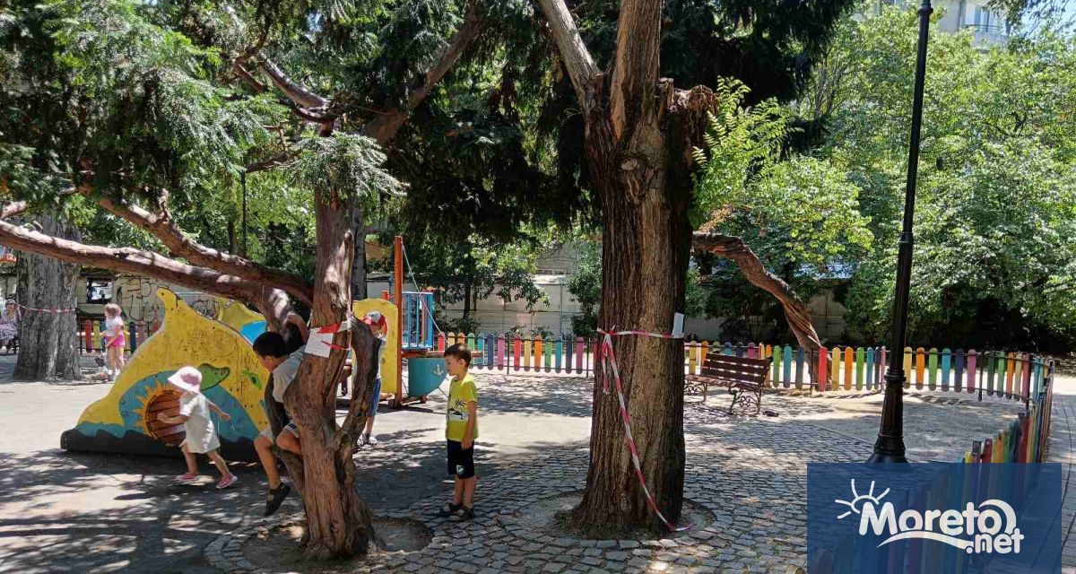 В сряда 2 юли от 08 30 часа фирмата поддържаща зелените площи