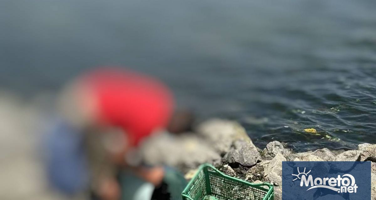 При рутинна проверка в акваторията на Варненското езеро инспектори от