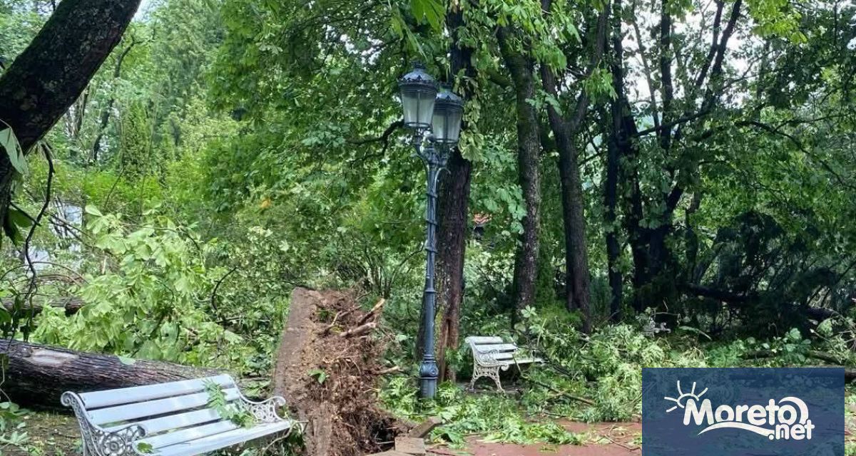 Над 50 пожарникари са се включили в разчистването след силната