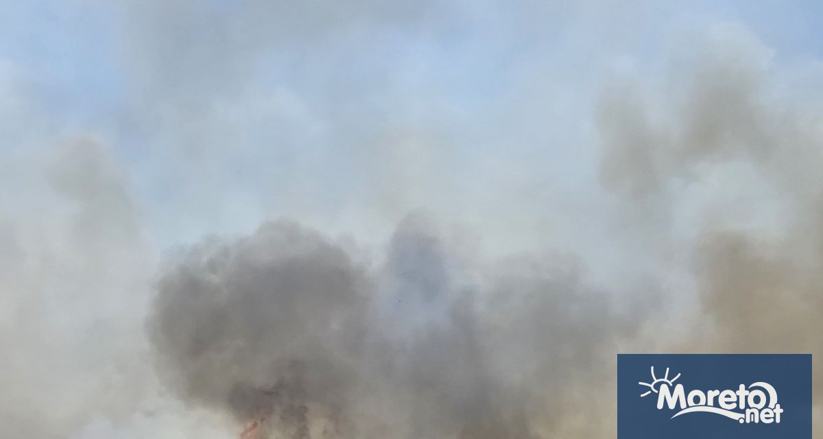 Всички пожари възникнали вчера на територията на Бургаска област вече