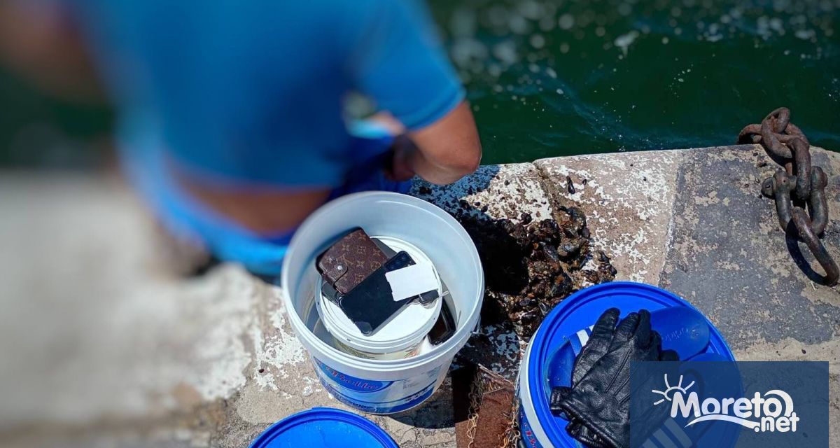 Двама души бяха заловени да извършват нерегламентиран улов на черна