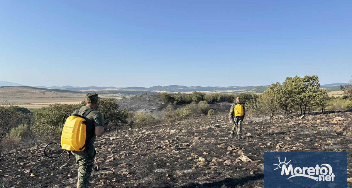 Военнослужещи с два хеликоптера Кугар от състава на военновъздушните сили