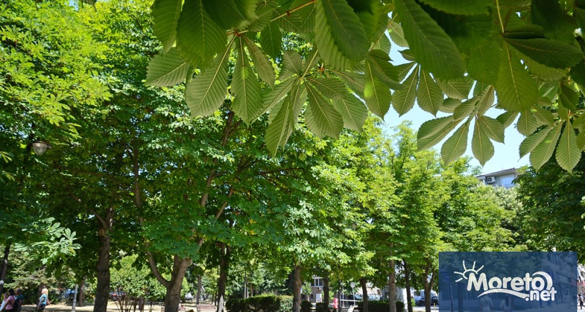 Общинско предприятие Дезинфекция дезинсекция дератизация Варна информира гражданите че