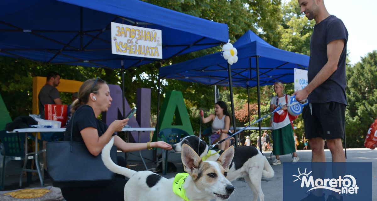 Общинският приют за безстопанствени кучета в с Каменар се включи