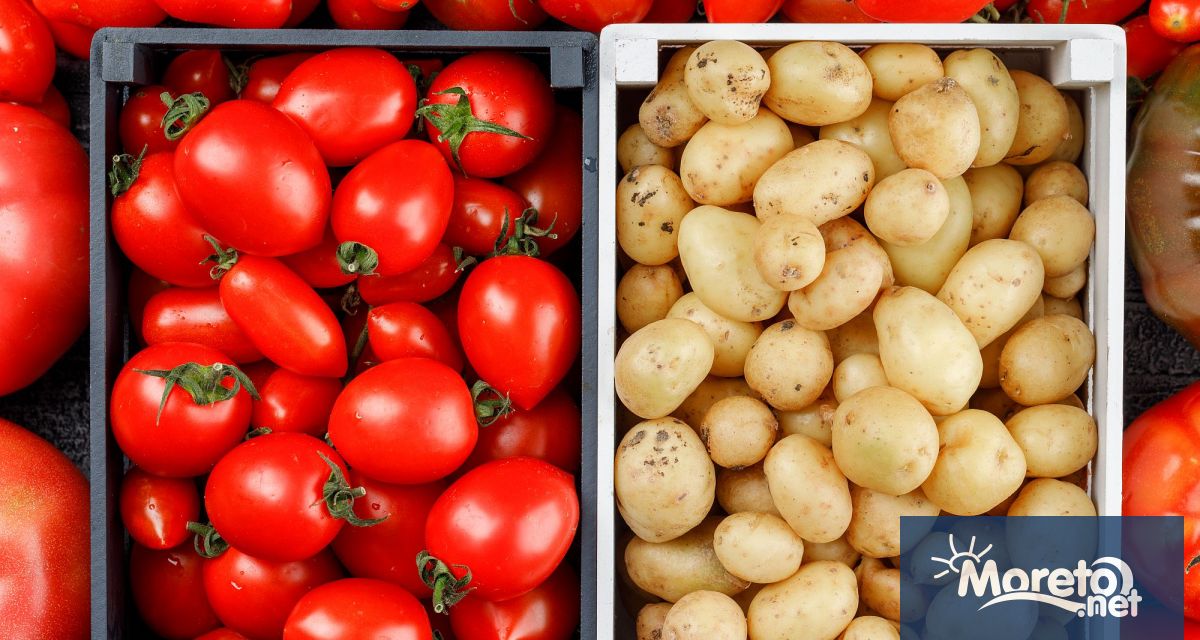 Изненадващо откритие на учени разкри че древен генетичен брак преди