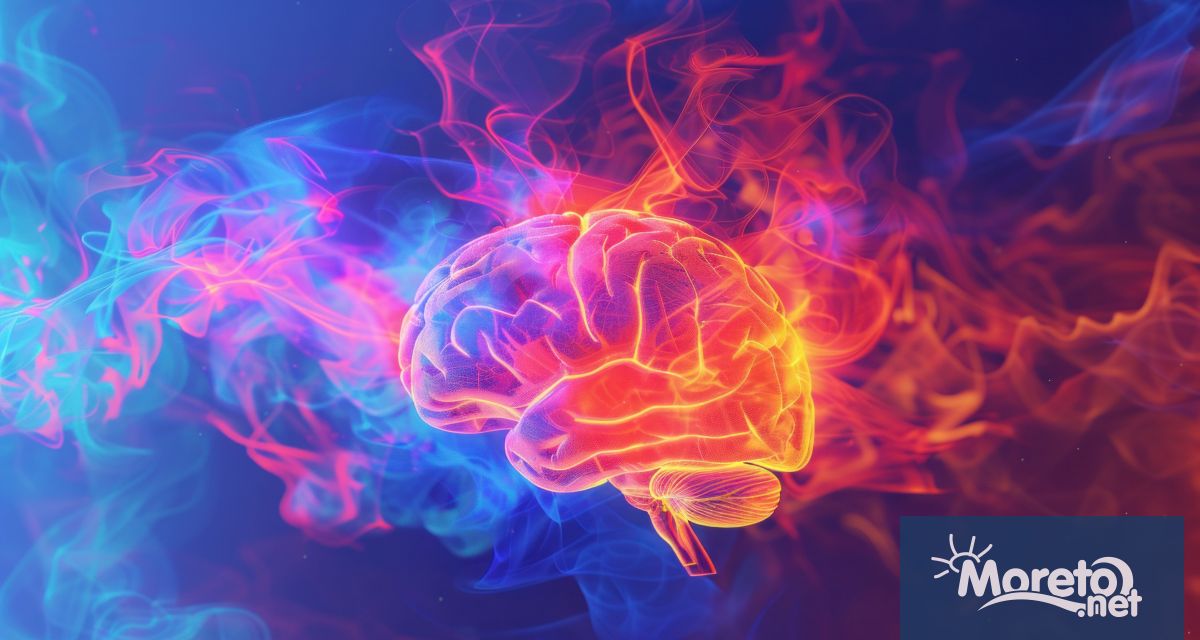 Учени от Калифорнийския университет в Сан Диего откриха малък но