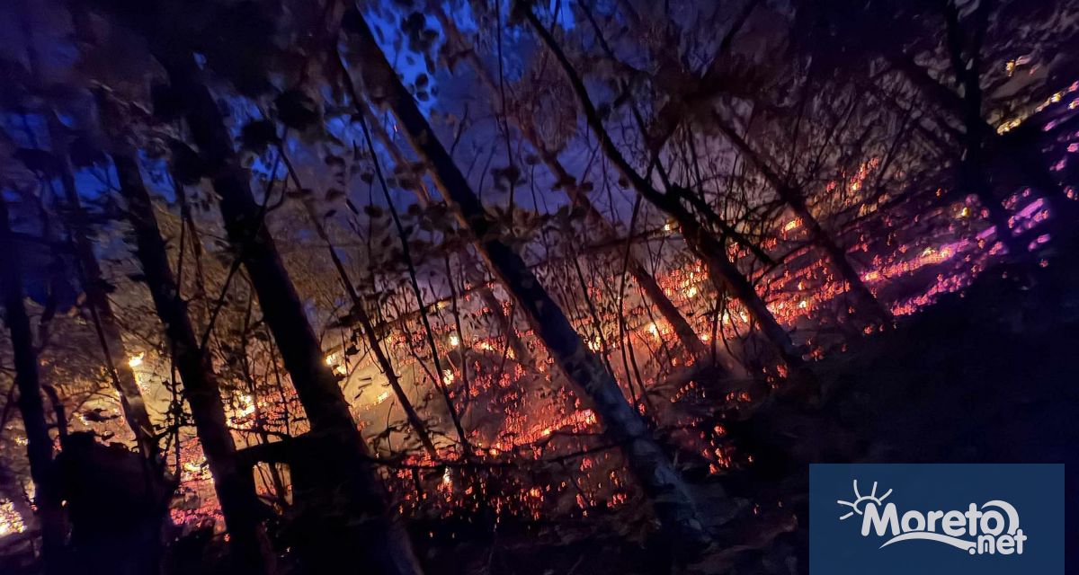 Детска игра с пиратки е причината за пожара в гората