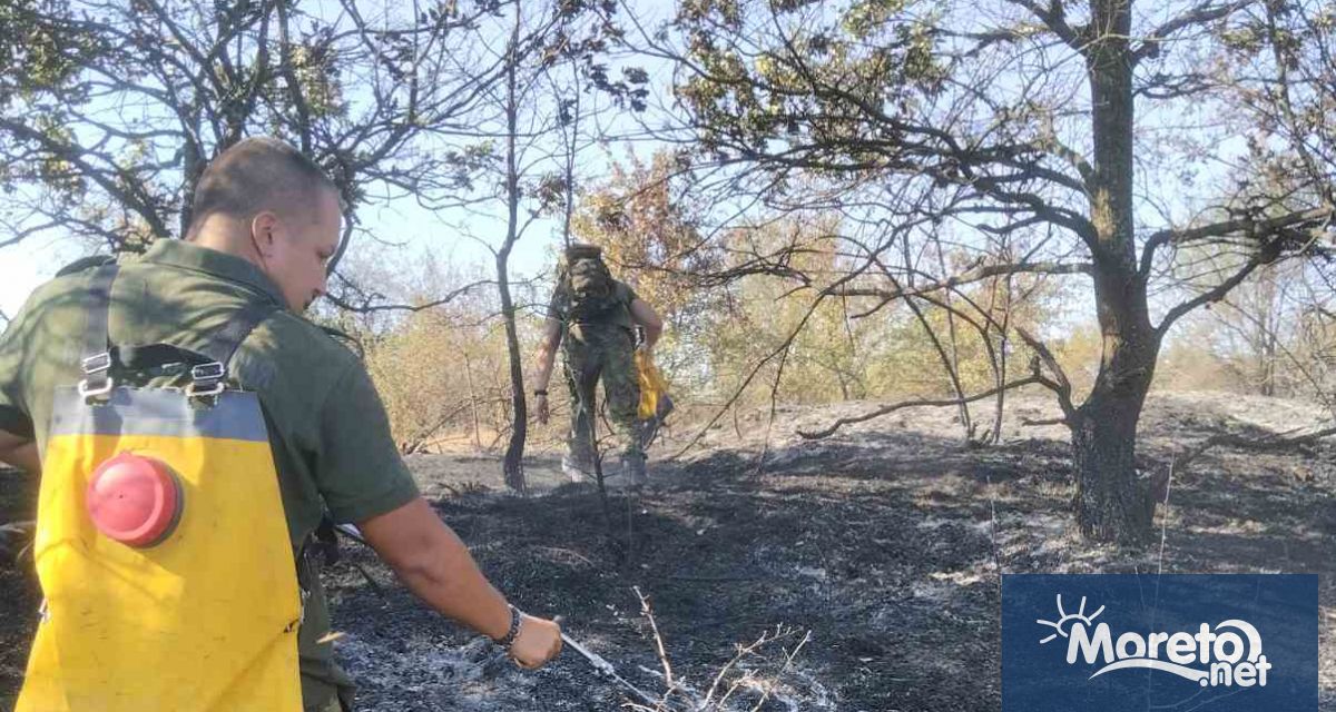 Военнослужещи от Сухопътните войски и Военновъздушните сили продължават да подпомагат