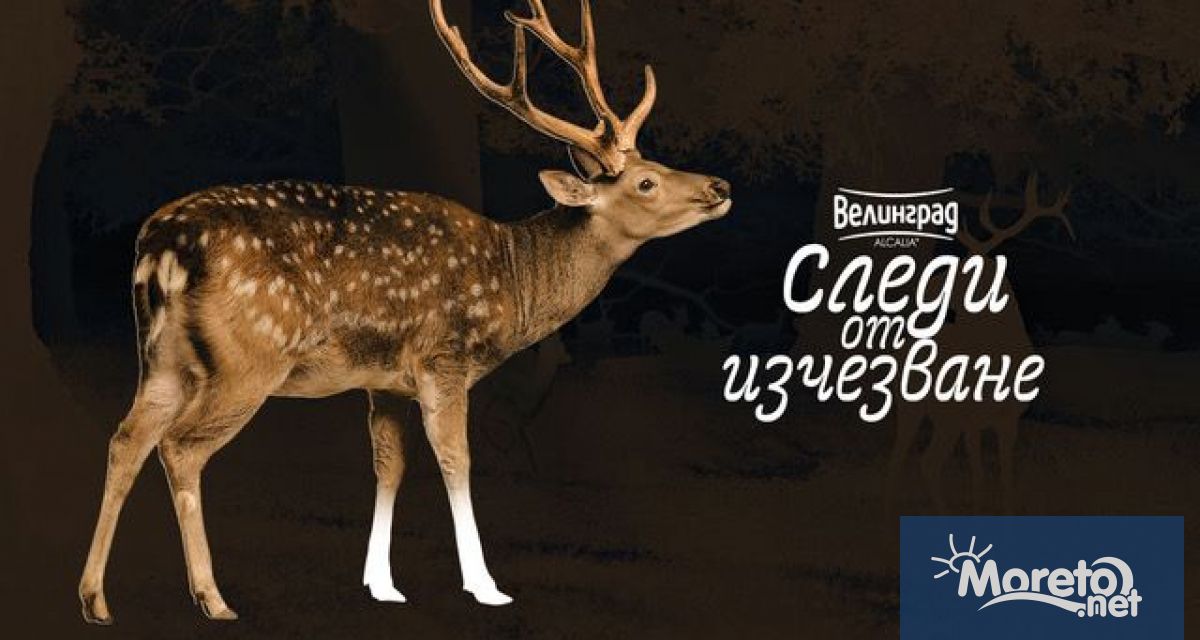 Природонаучен музей Варна се превръща през август в следваща спирка