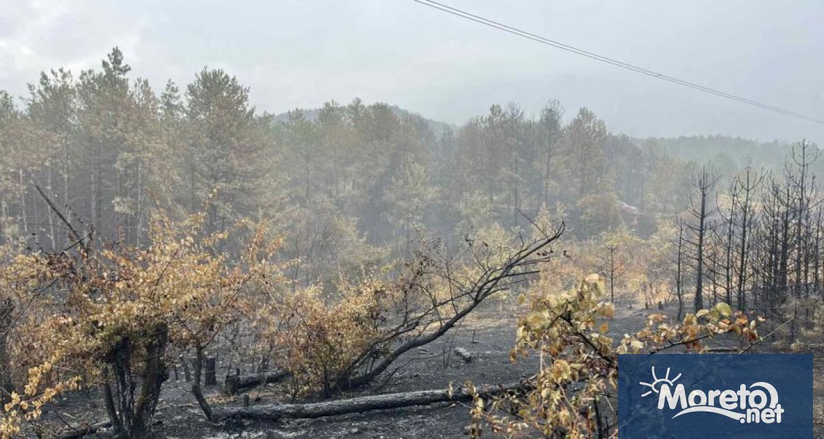 Пети ден продължава борбата с огъня в Сунгурларе Над 20