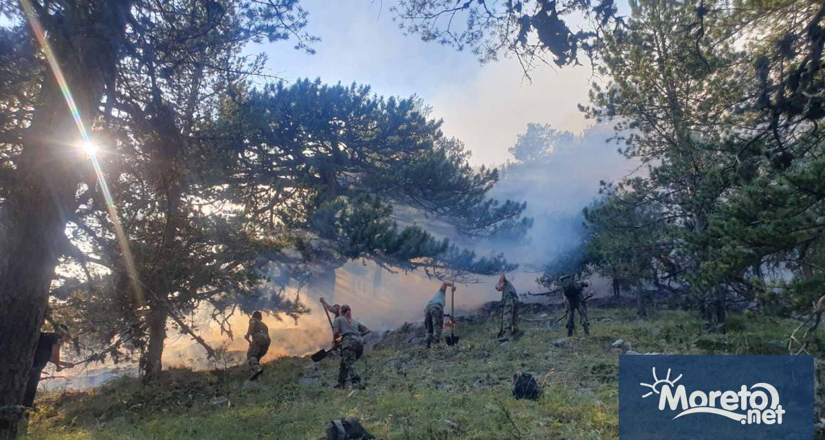 Въпреки че и най тежкото огнище на пожара в Пирин беше