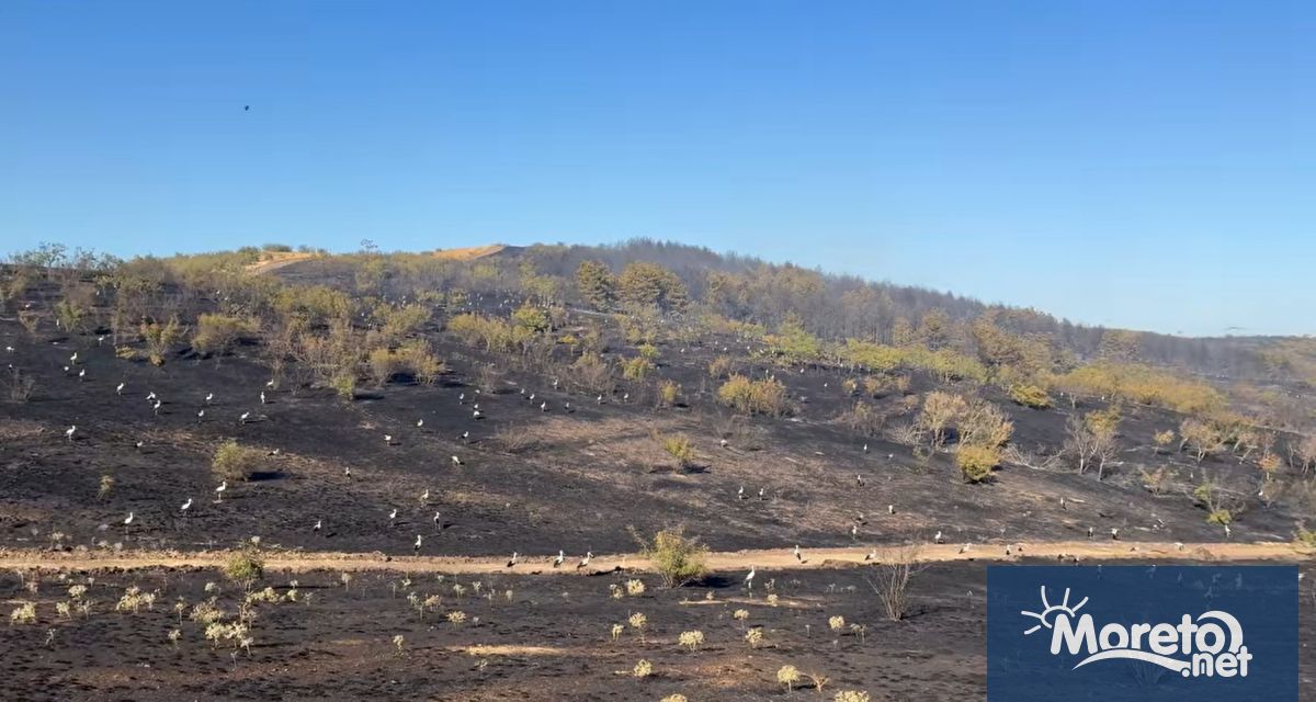 След големия пожар избухнал в събота по обяд във вилна