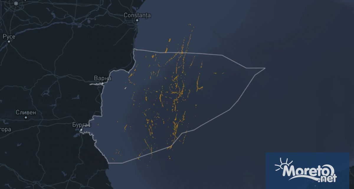 Над 170 петна от изхвърлен нефт и корабно гориво са