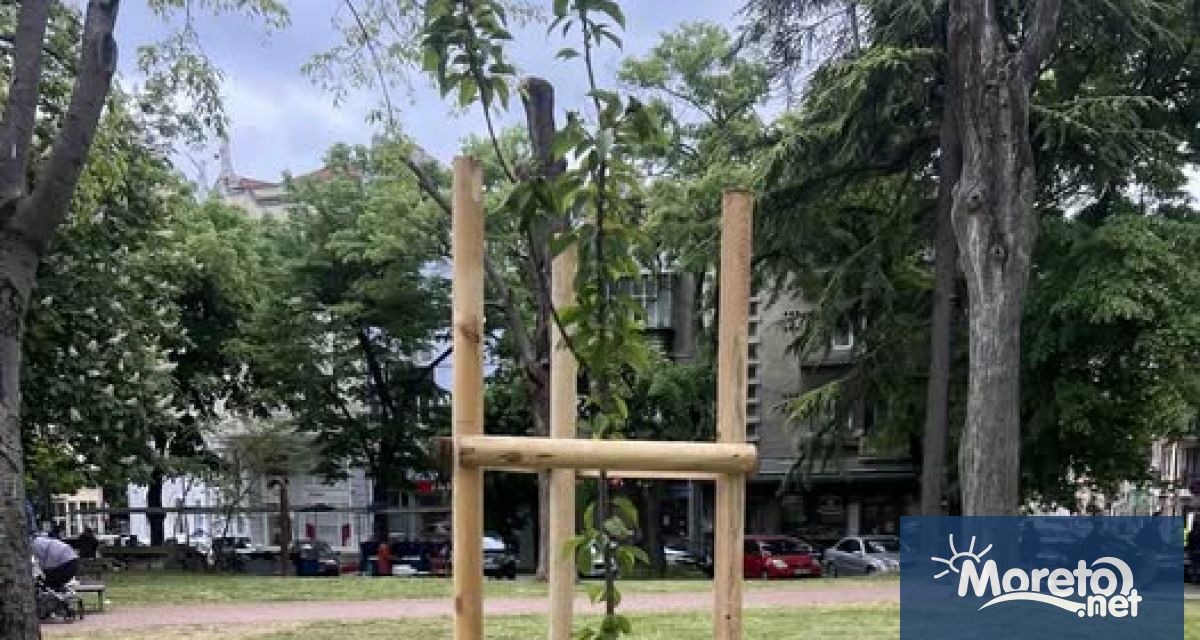 Общо 108 дръвчета са засадени от края на миналата година