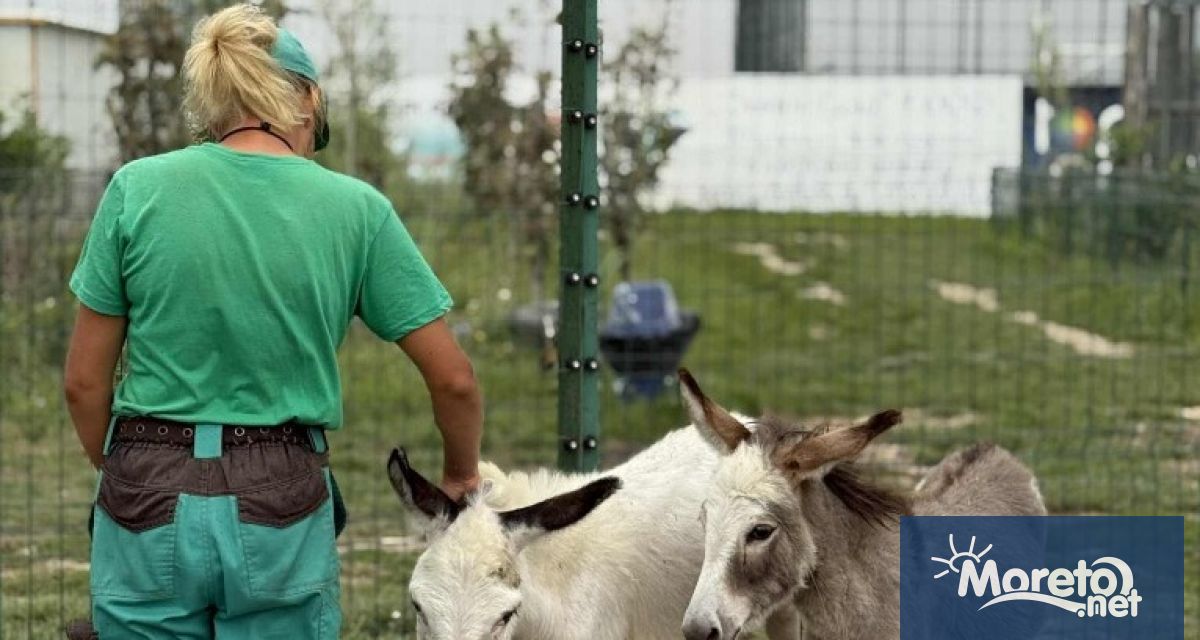 Зоопарк Бургас зарадва своите посетители с уникална изненада – двойка