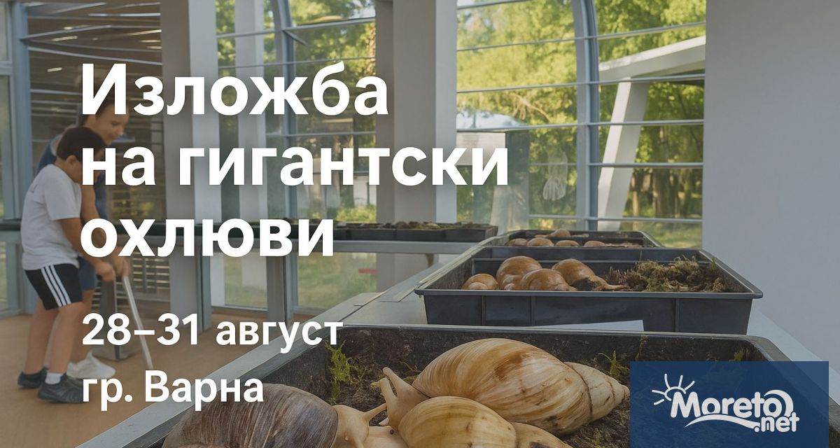 В края на август варненци и гостите на града ще