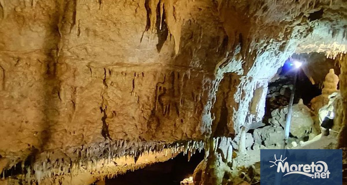 Кметът на община Шумен проф Христо Христов декларира в писмо