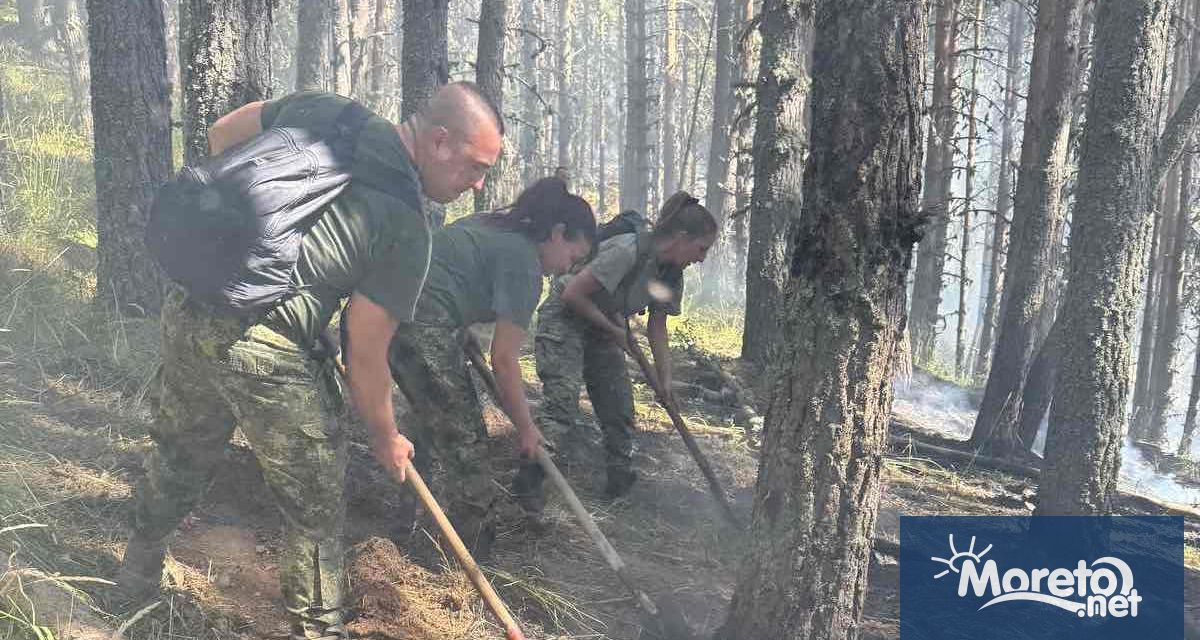 Военнослужещи от Сухопътните войски както и екипаж от Военновъздушните сили