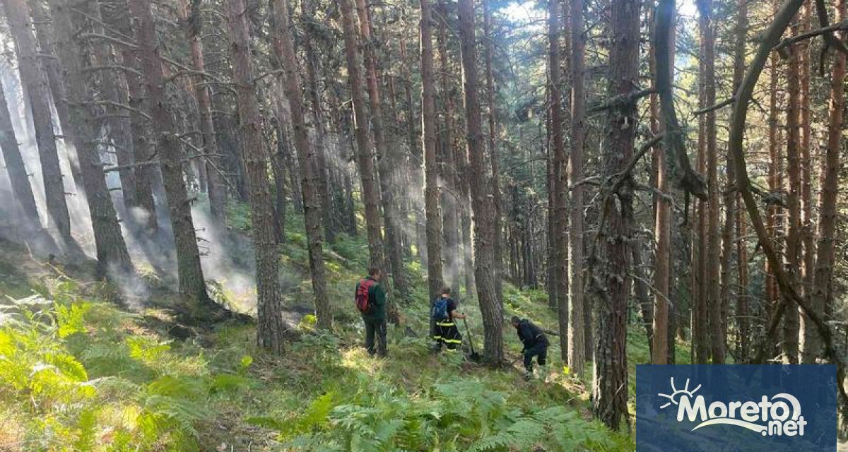 Днес над 65 души – служители на Национален парк Рила