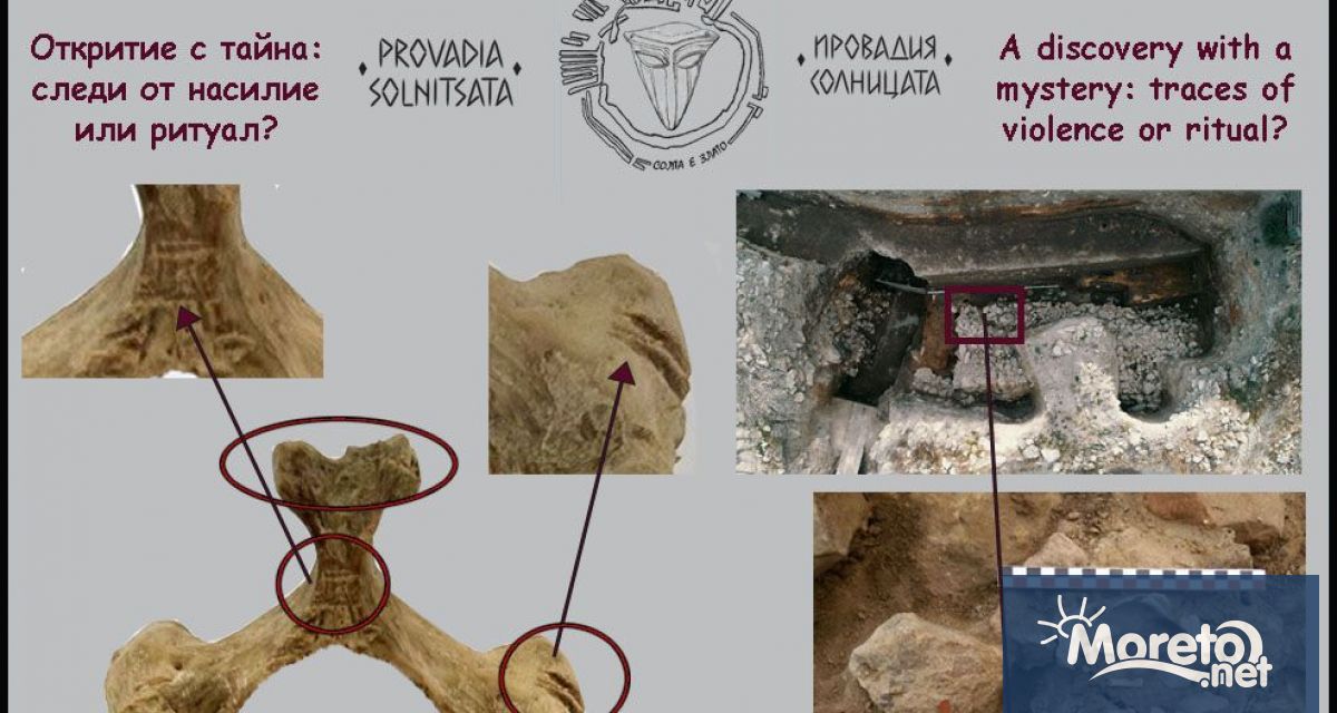 Сред най новите находки от Провадия Солницата изпъкват два човешки шийни прешлени