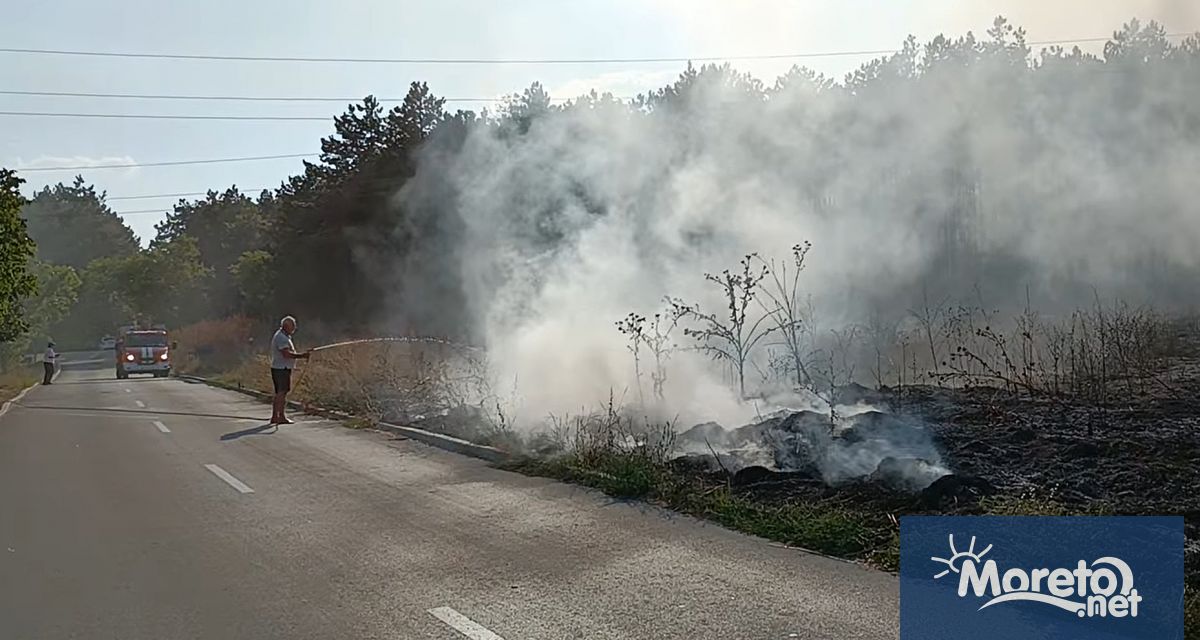 Пожар гори в района на варненската местност Добрева чешма Пламъците