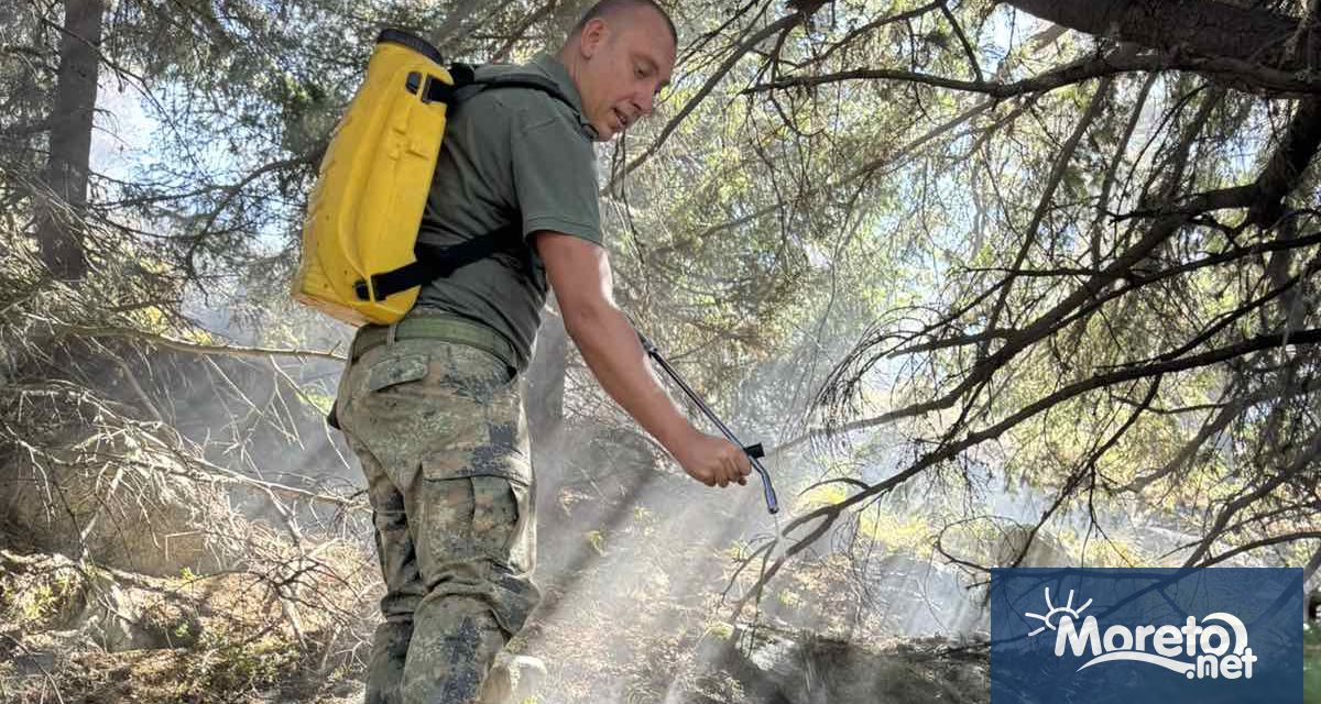 Военнослужещи от Сухопътните войски продължават участието си в гасителните действия