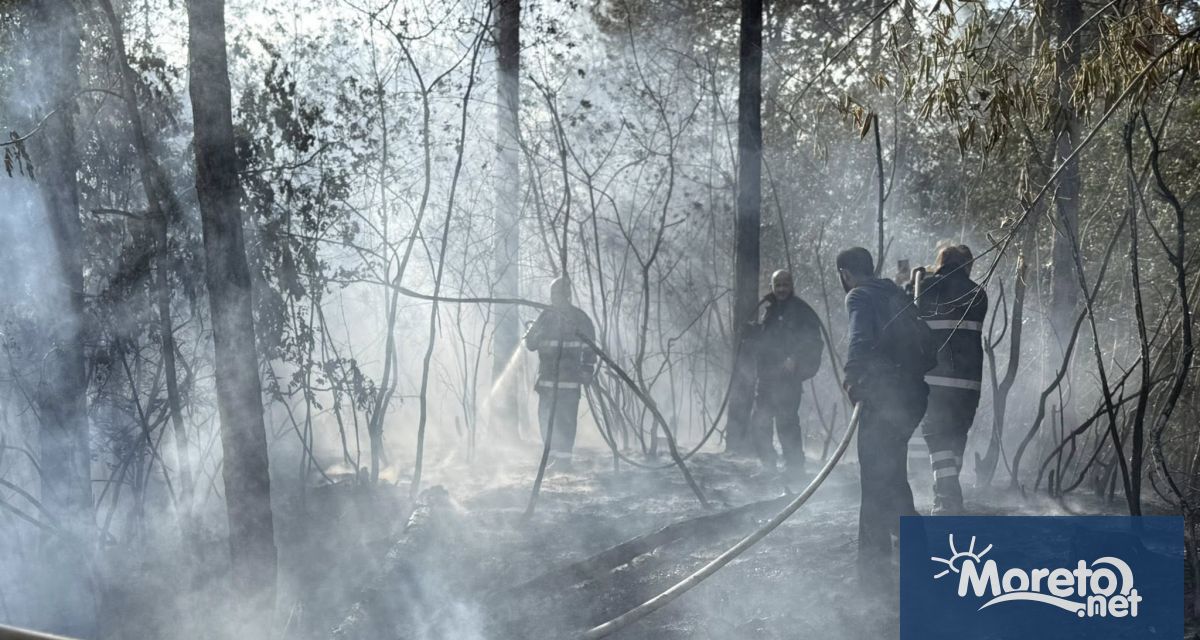 Пожарът в местността Джанавара в район Аспарухово е локализиран и