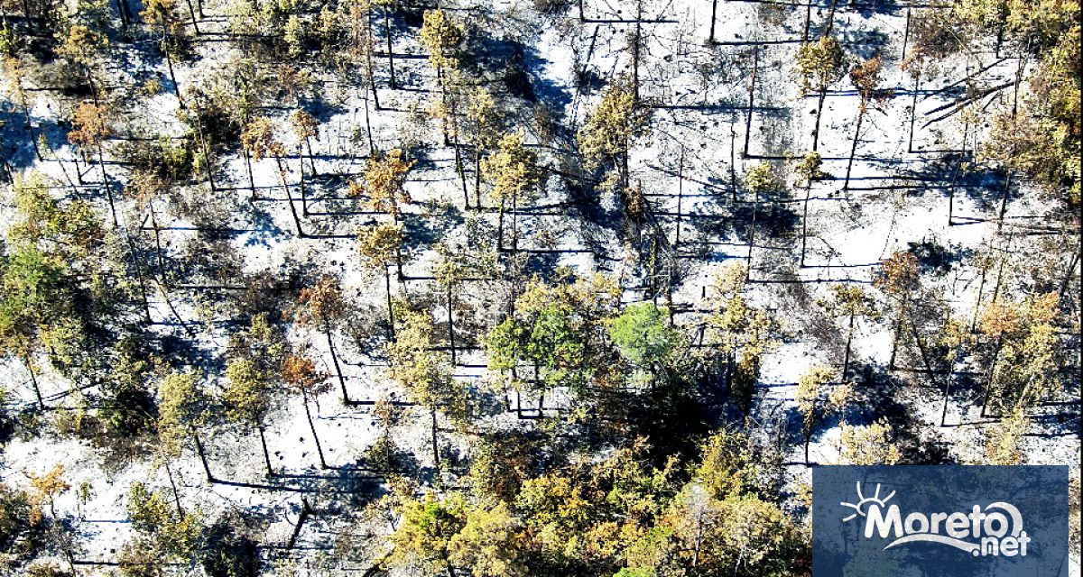 Няма тлеещи участъци при Огънят е напълно потушен като