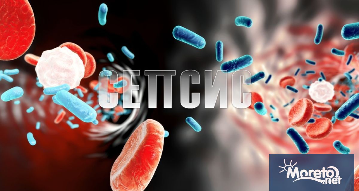 Световният ден на сепсиса се отбелязва всяка година на 13